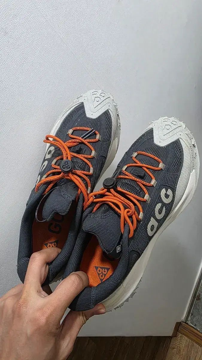 ナイキ マウンテン フライ ゴアテックス 275