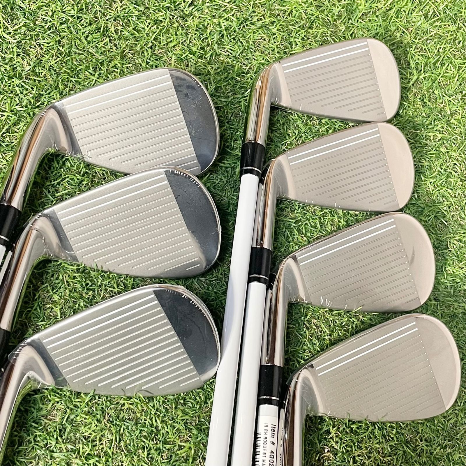 ローグST モデル