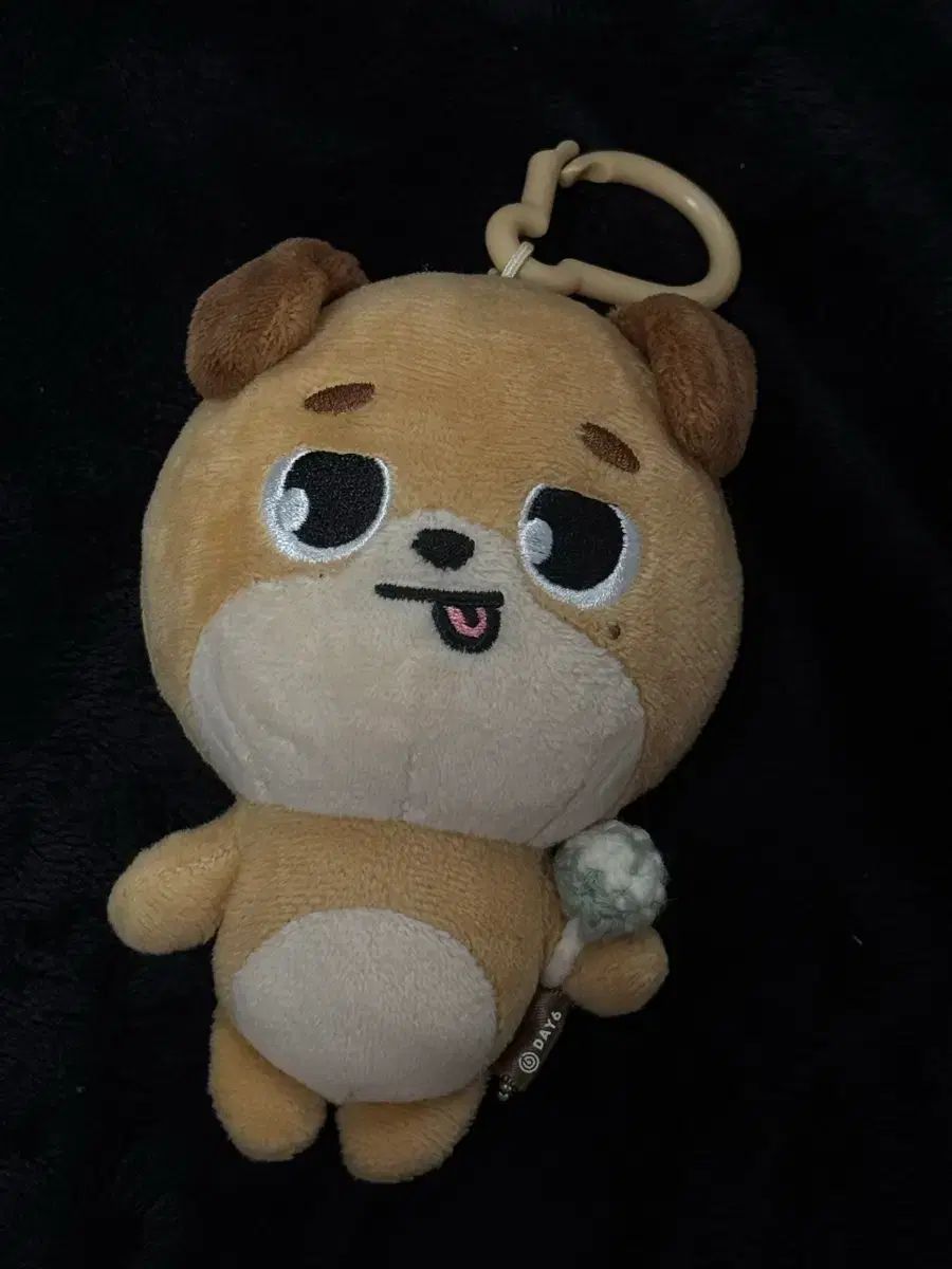 DAY6（デイシックス）ドウン(DOWOON) 2022 デニマルズ(DENIMALZ) ドン