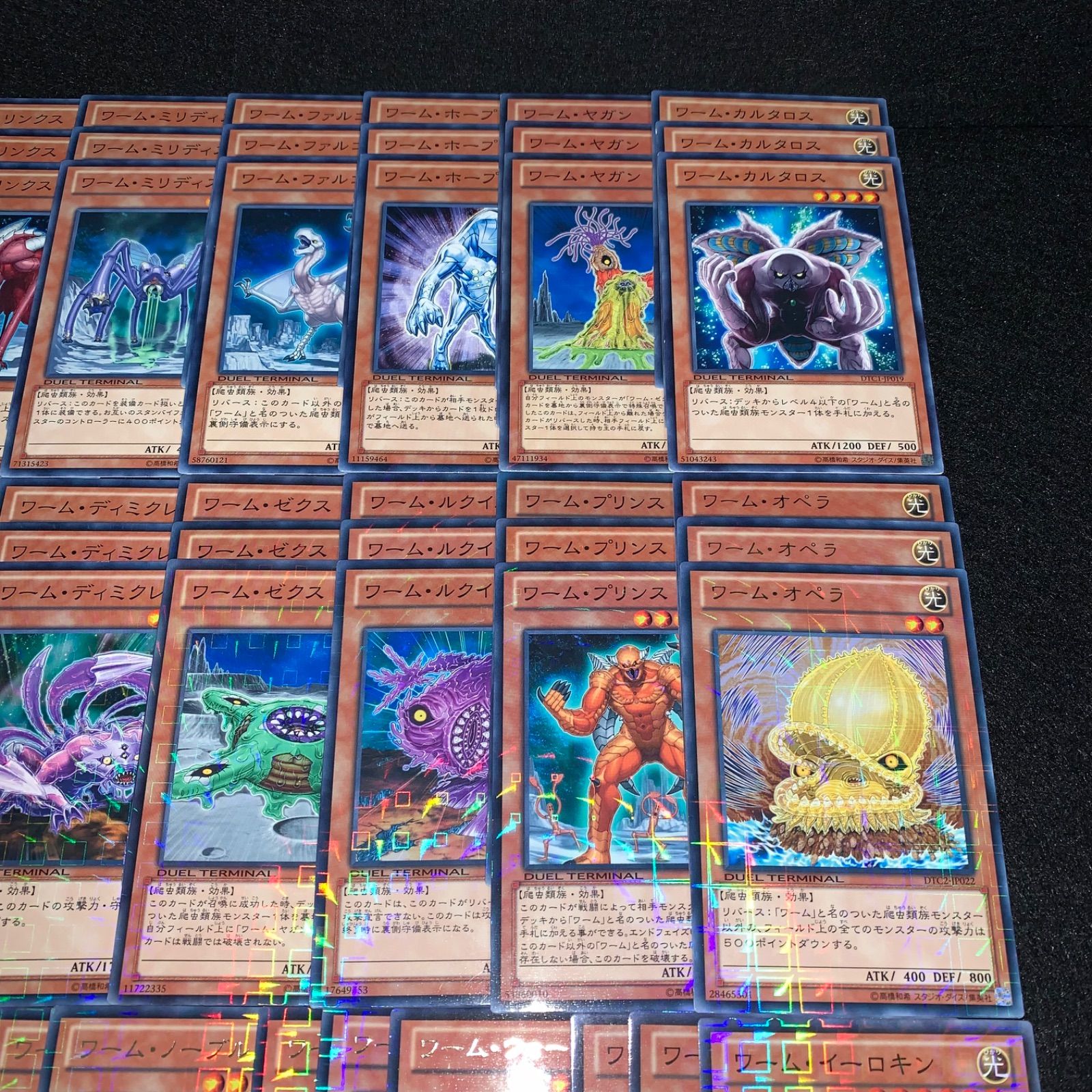 ワーム　DTC　デッキパーツ 遊戯王 KYP561 ワームデッキ DT/ターミナル クロニクル デッキパーツ