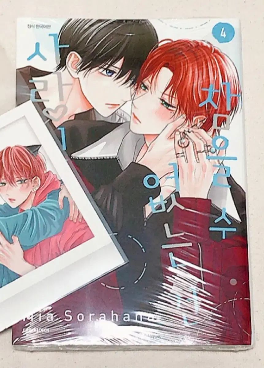 我慢できないのは恋ですか 4巻 アニメイト 初回版