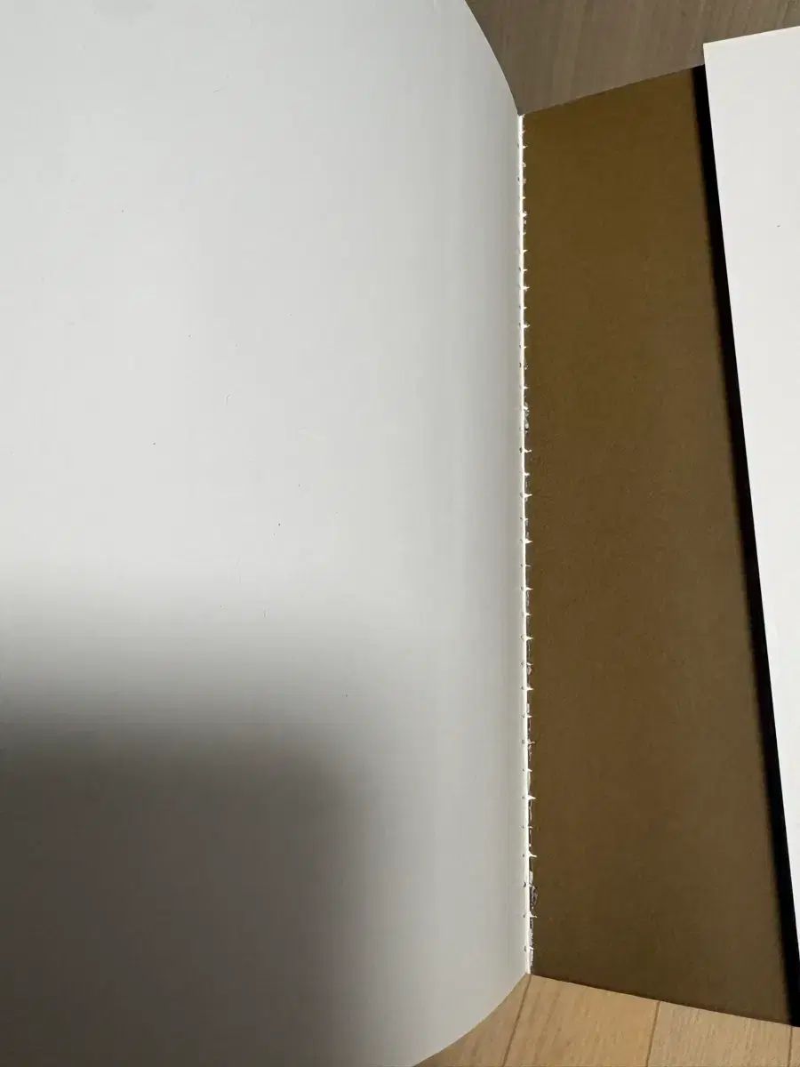 ザ ボクサー 1 13 全巻 ウェブトゥーン 漫画 バスケ 全巻セット 