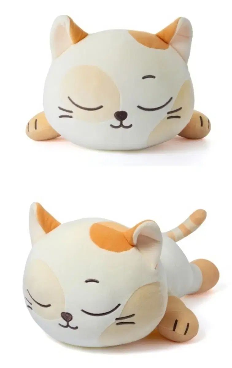 ボイネク クッション キャットッピ ソンホ