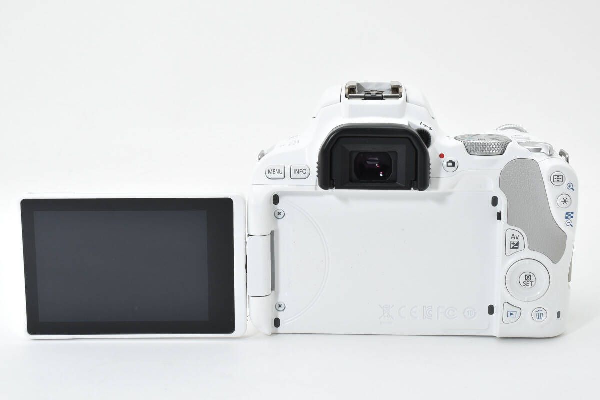 ボディ ホワイト