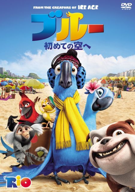 rio★ XSFRT01J2 UVカット・水陸両用 サマーブリーズ ラッシュガード (単品)