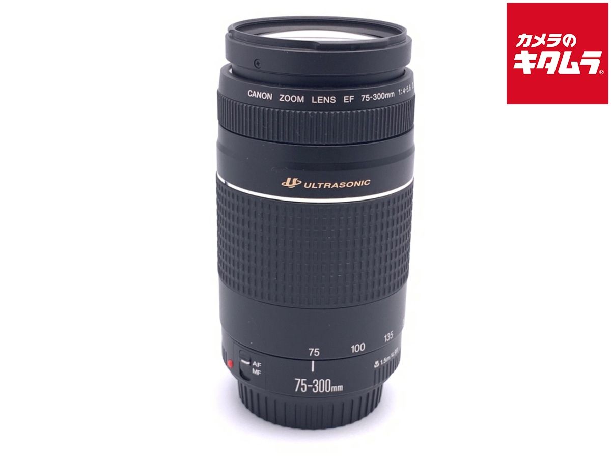 並品 キヤノン EF 75 300 4 5 6 III USM