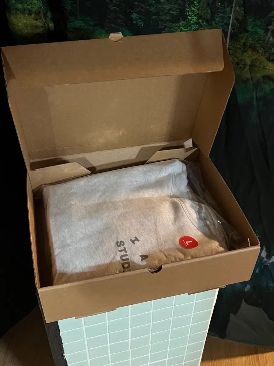 IAB Studio ライト グレー フーディー L