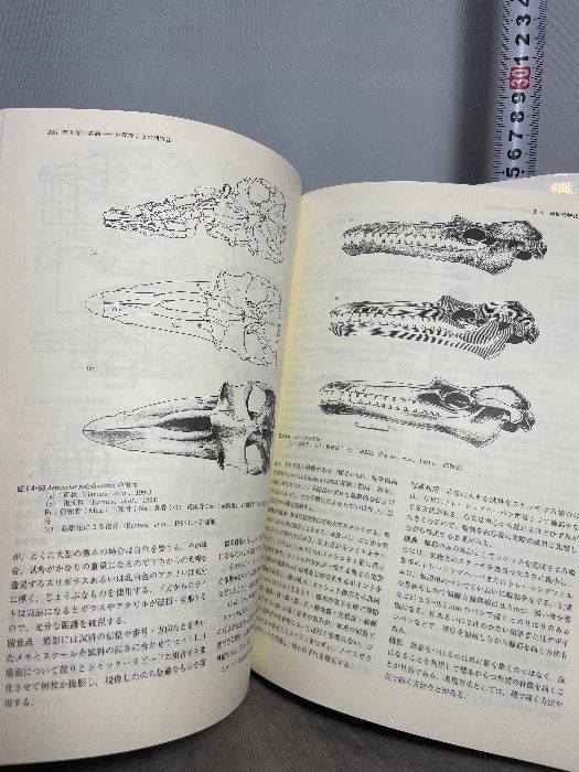 化石の研究法 採集から最新の解析法まで