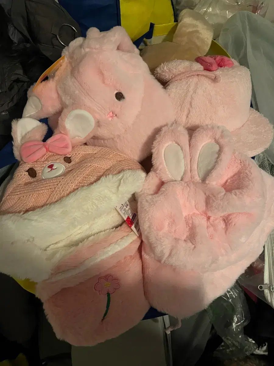 エバーランド 冬MD 新品