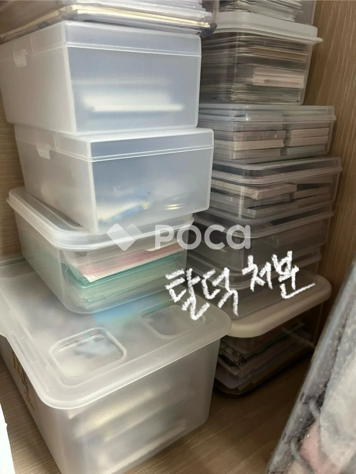 ノー・ジャンル・MUVVE