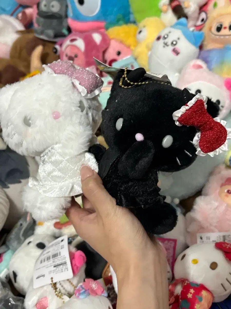 キャラクター 外