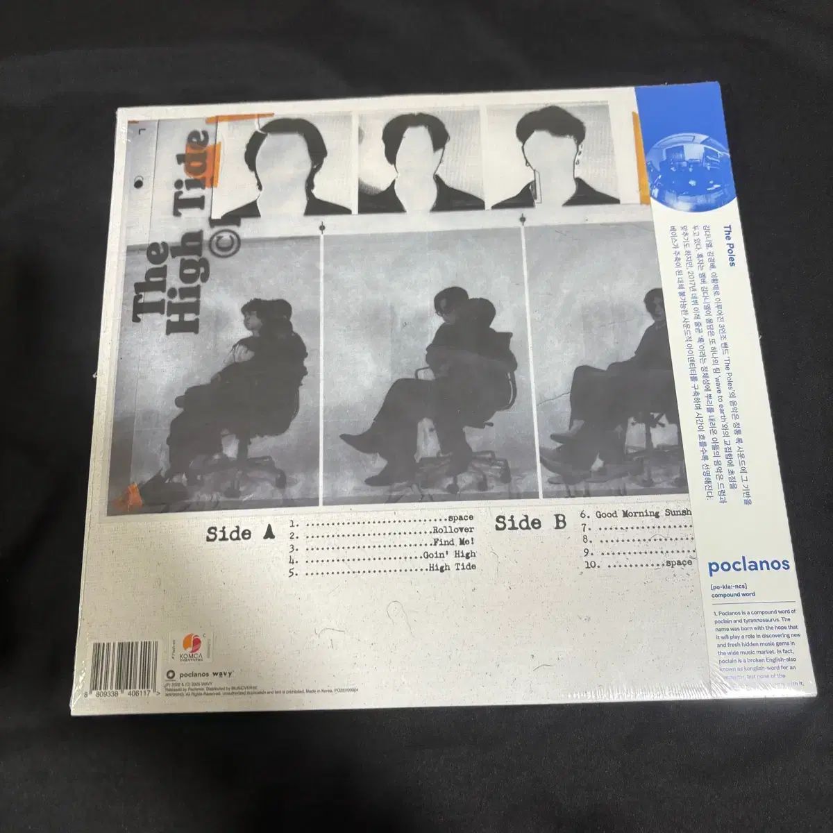  ザ フォールズ the poles lp ヴァイナル ビニールレコード その他 楽器 機材