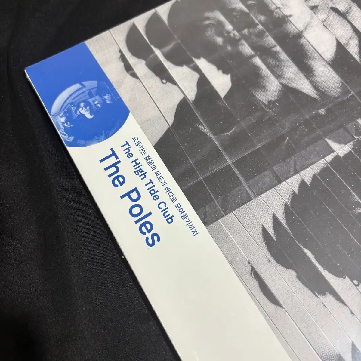 ザ フォールズ the poles lp ヴァイナル ビニールレコード