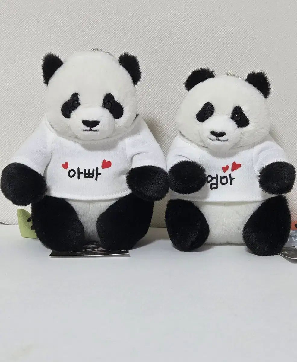 EVERLAND バオ FAMILY ラバオ アイバオ ぬいぐるみ セット