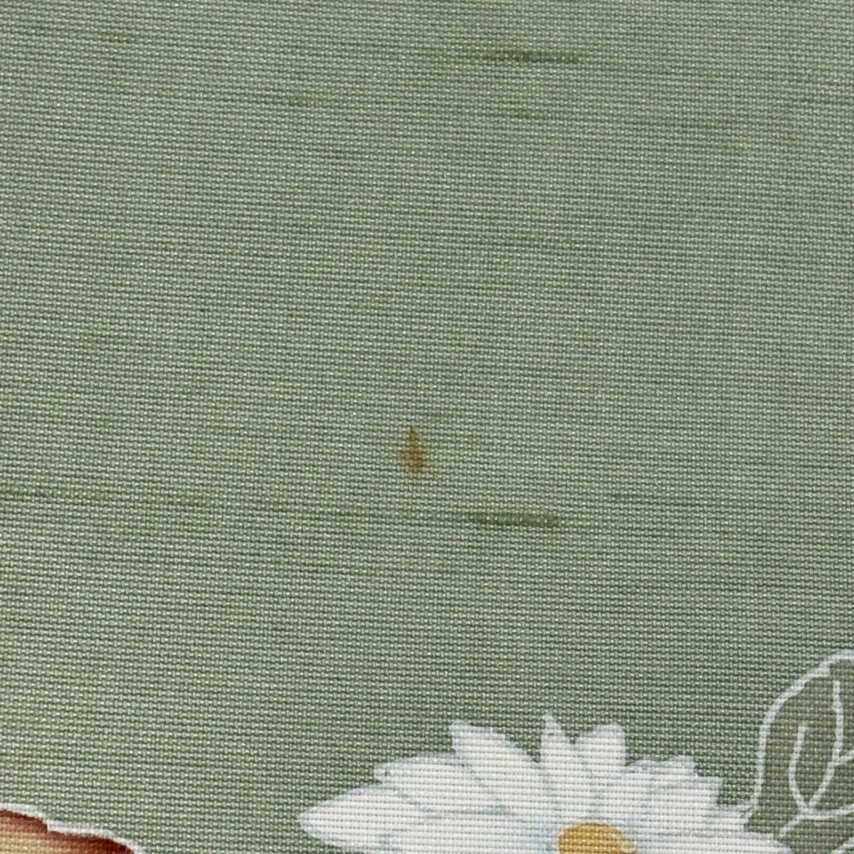 訪問着 身丈151cm 裄丈65.5cm M 袷 紬地 童 枝花 ぼかし 薄緑 正絹 秀