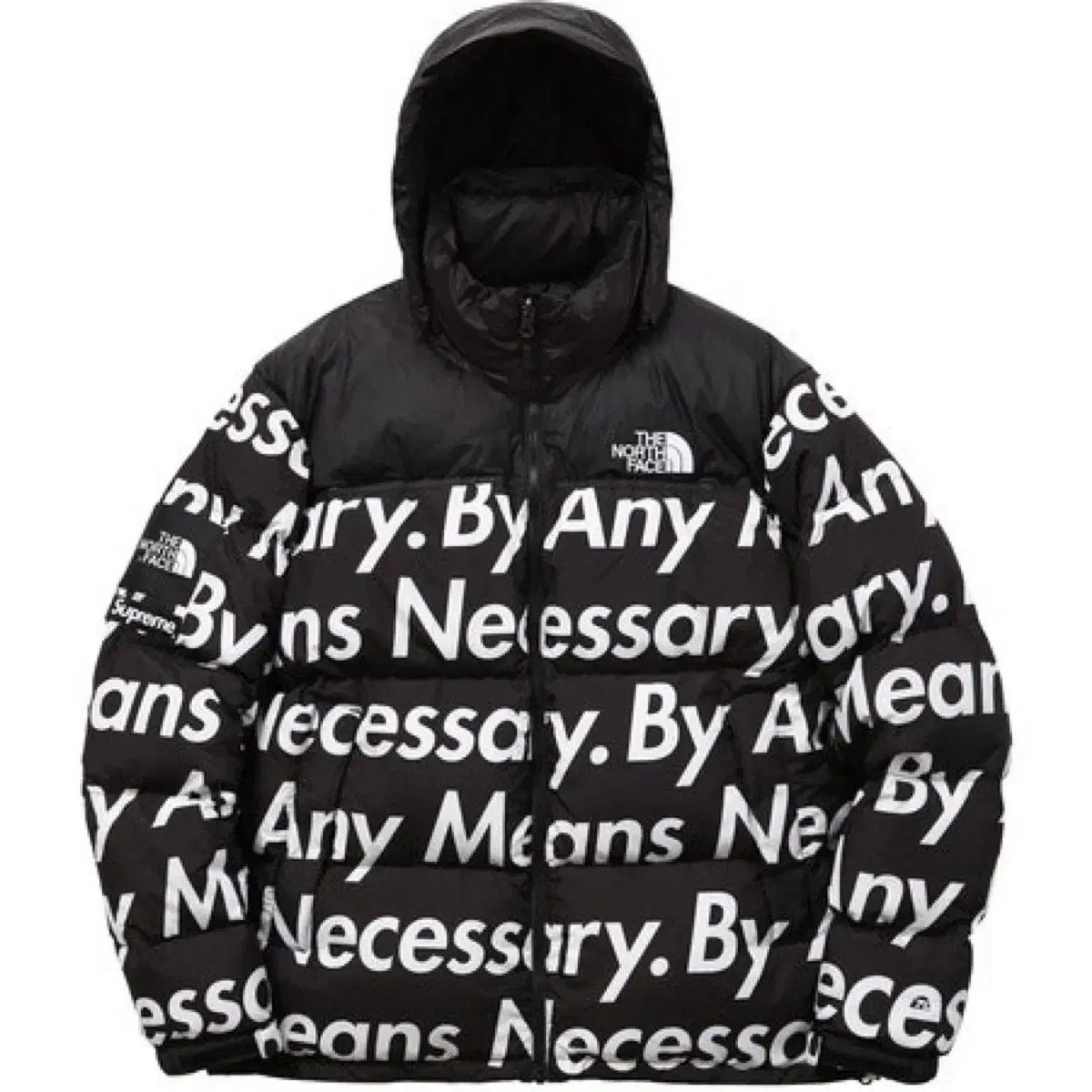 Supreme x The North Face 文字　ヌプシ　M 15FW Supreme X THE NORTH FACE ザノースフェイス レタリング Nuptse