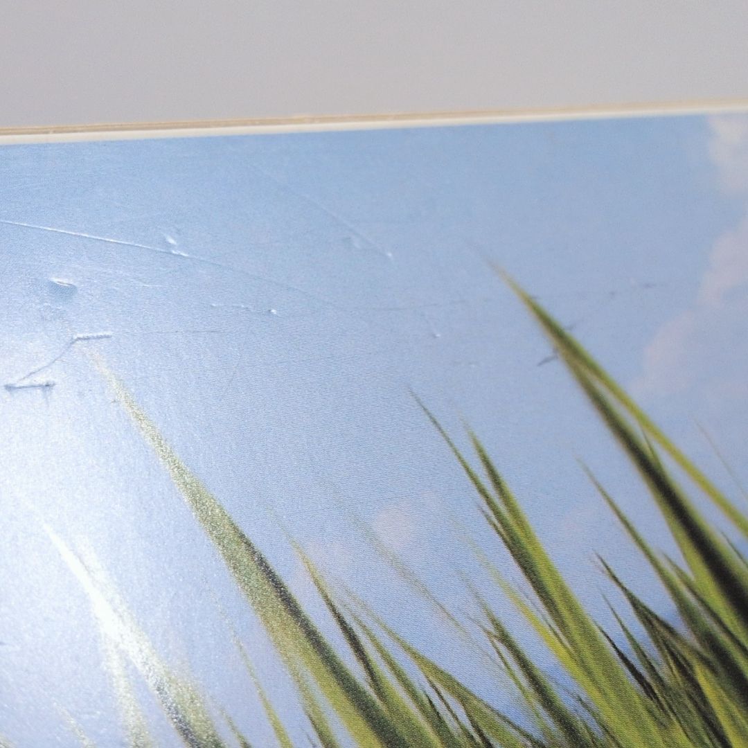 呼吸 映画 『リリイ・シュシュのすべて』 Lily Chou-Chou Salyu サリュ