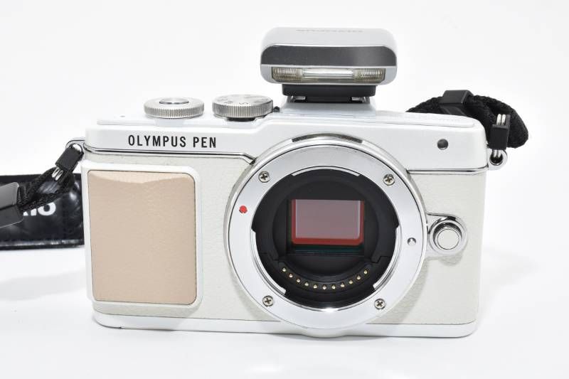 ショット数1863回と少ない ミラーレス一眼カメラ