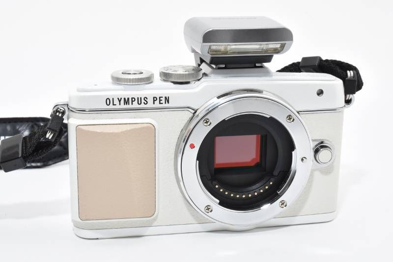 ショット数1863回と少ない ミラーレス一眼カメラ