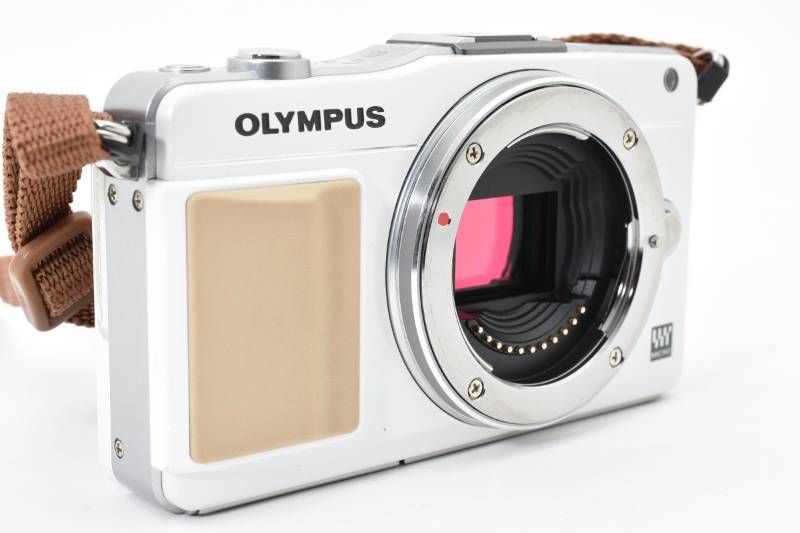 ミラーレス一眼カメラ