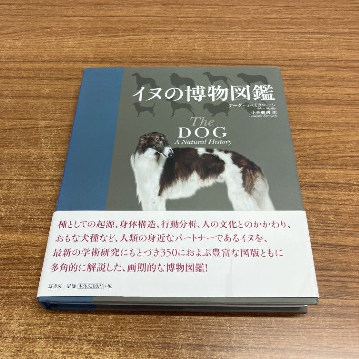 △01)【1点限り!】【希少本】イヌの博物図鑑/アーダーム・ミクローシ