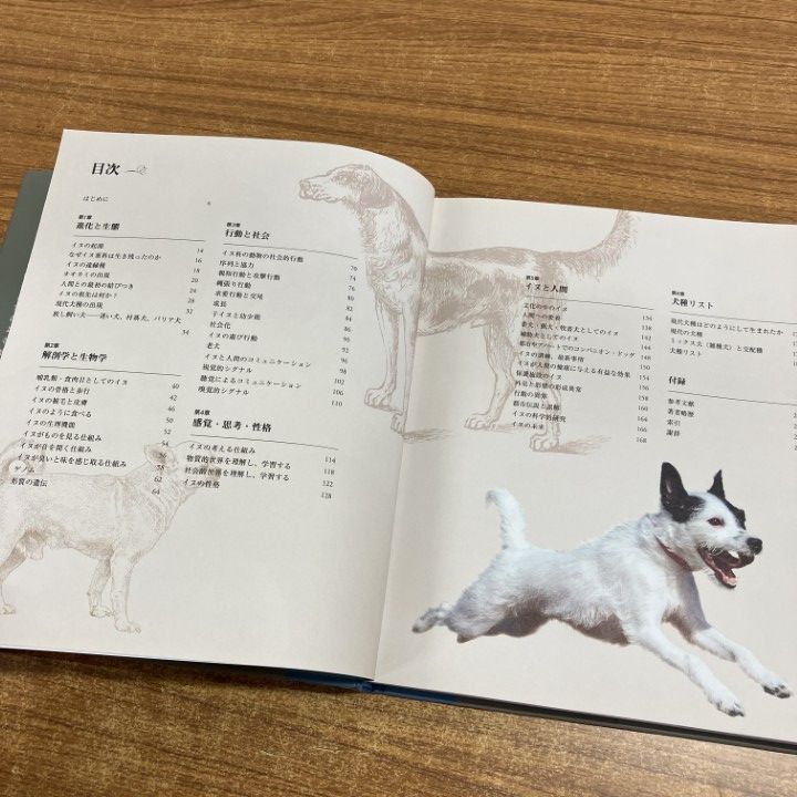 △01)【1点限り!】【希少本】イヌの博物図鑑/アーダーム・ミクローシ