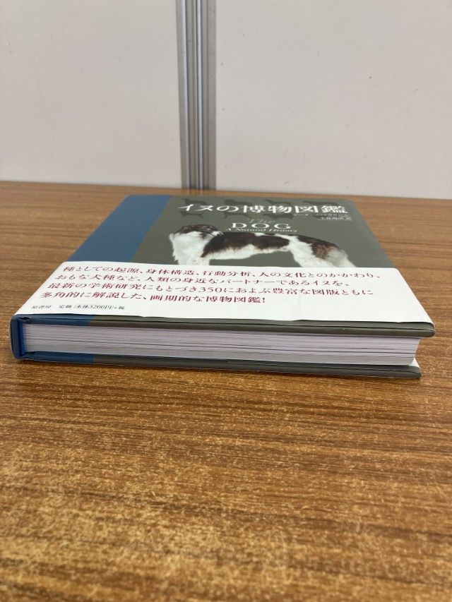 △01)【1点限り!】【希少本】イヌの博物図鑑/アーダーム・ミクローシ