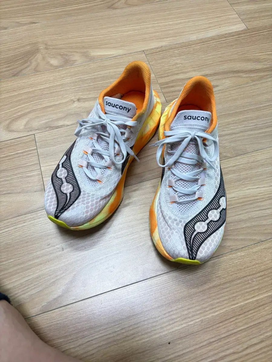 Saucony サッカニー エンドルフィン プロ 4 フォグ フィール 255