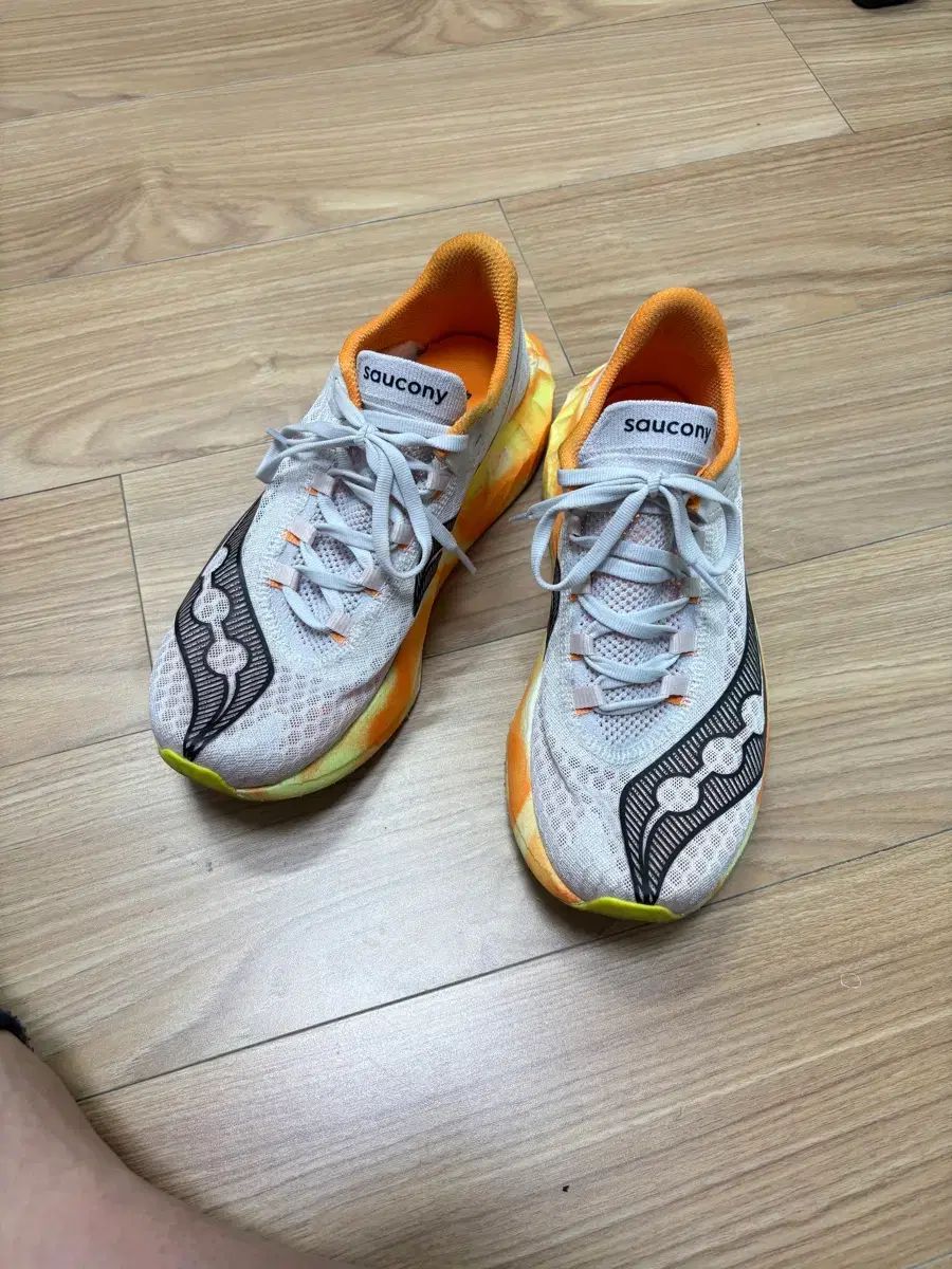 Saucony サッカニー エンドルフィン プロ 4 フォグ フィール 255