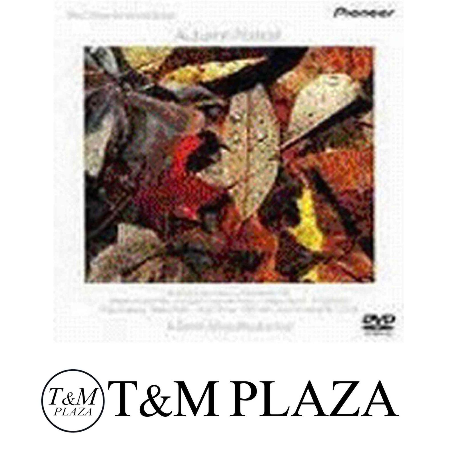 ウインダム ヒル～オータム ポートレート～ DVD