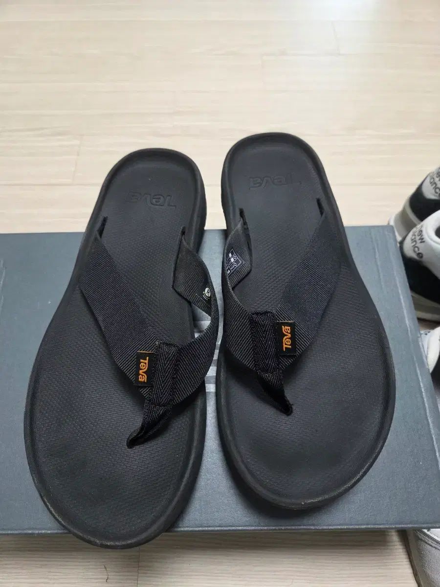 テバ ハイドロテック チョリ 270