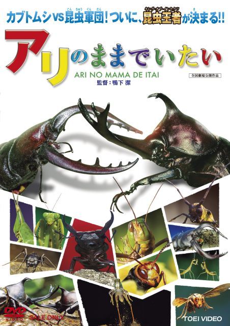 【】アリのままでいたい [DVD]