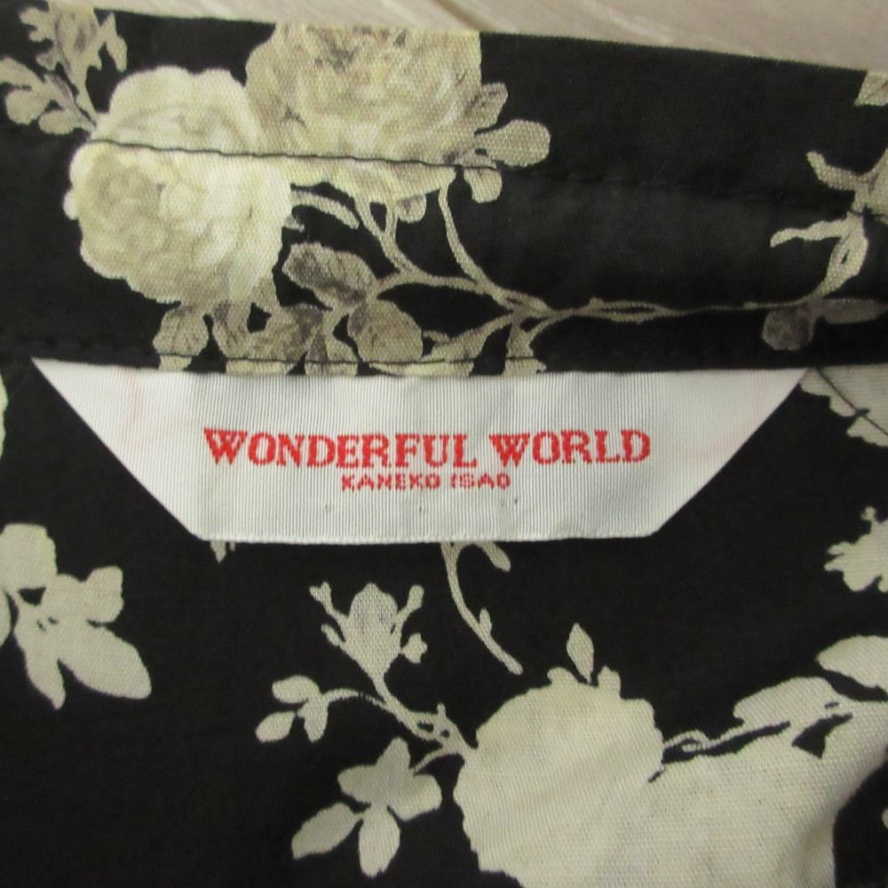 美品 WONDERFUL WORLD KANEKO ISAO ワンダフルワールドカネコイサオ