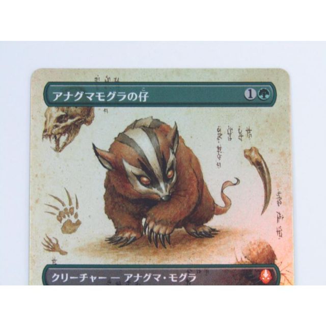MAGIC The Gathering マジック・ザ・ギャザリング MtG アナグマモグラ