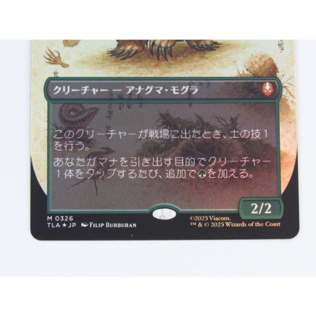 MAGIC The Gathering マジック・ザ・ギャザリング MtG アナグマモグラ