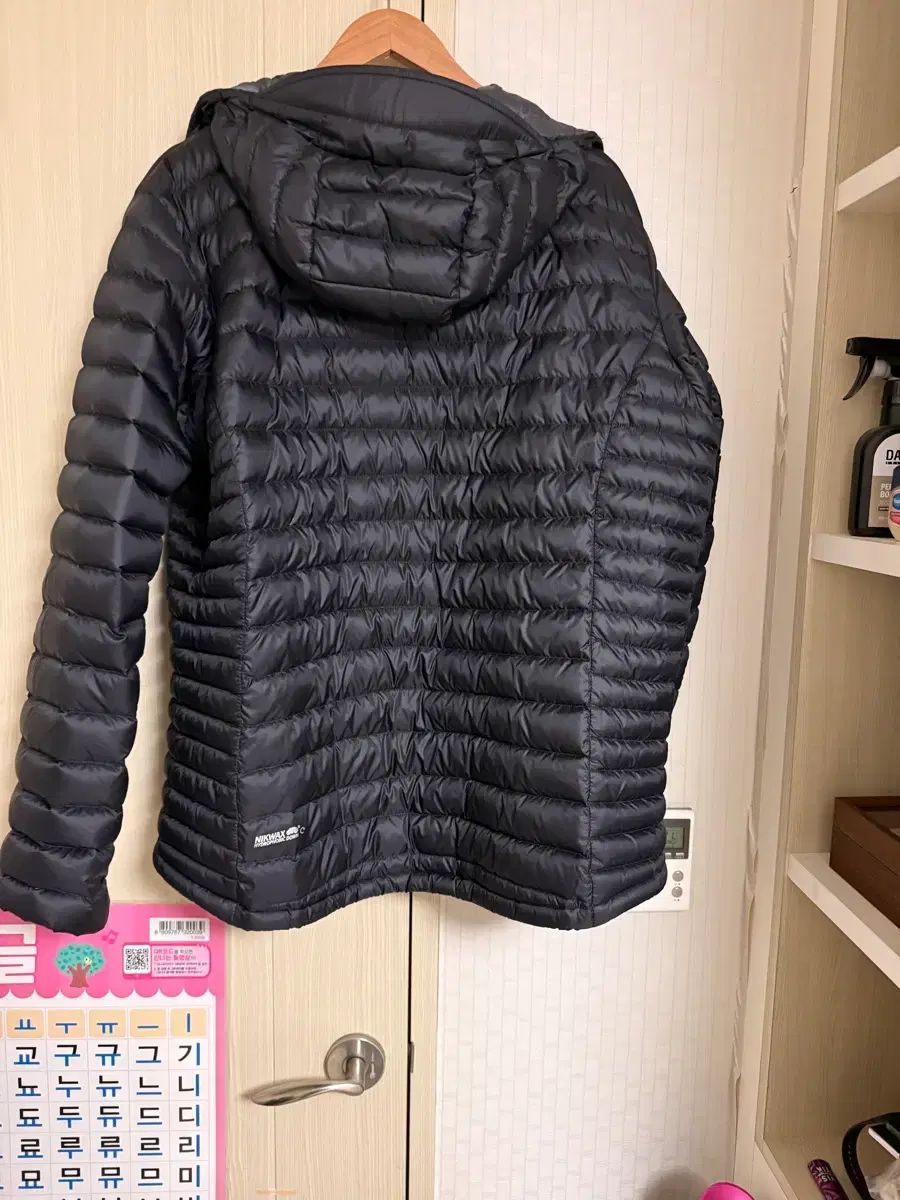 Rabマイクロライトアルパイン