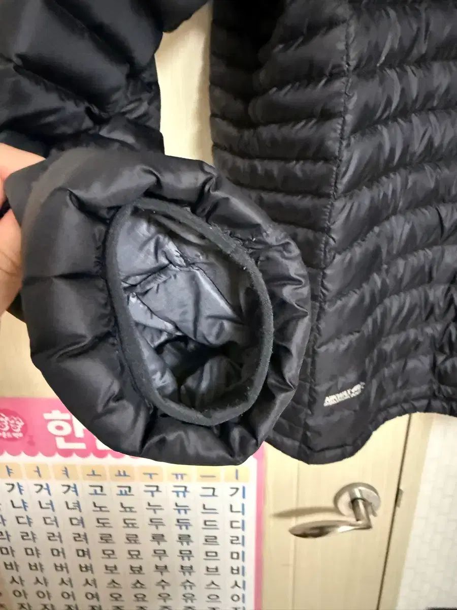 Rabマイクロライトアルパイン