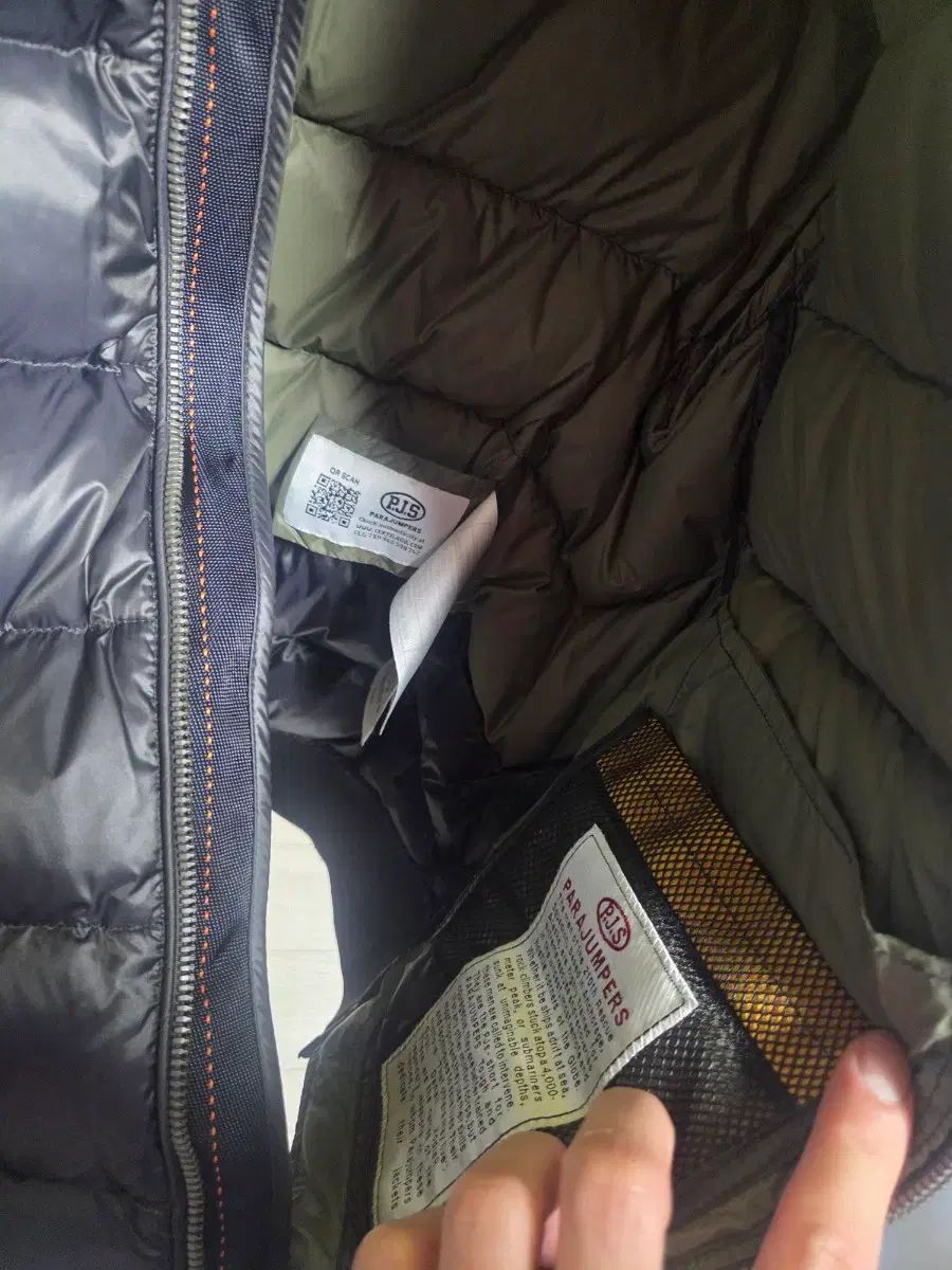 ダウン ジュニア