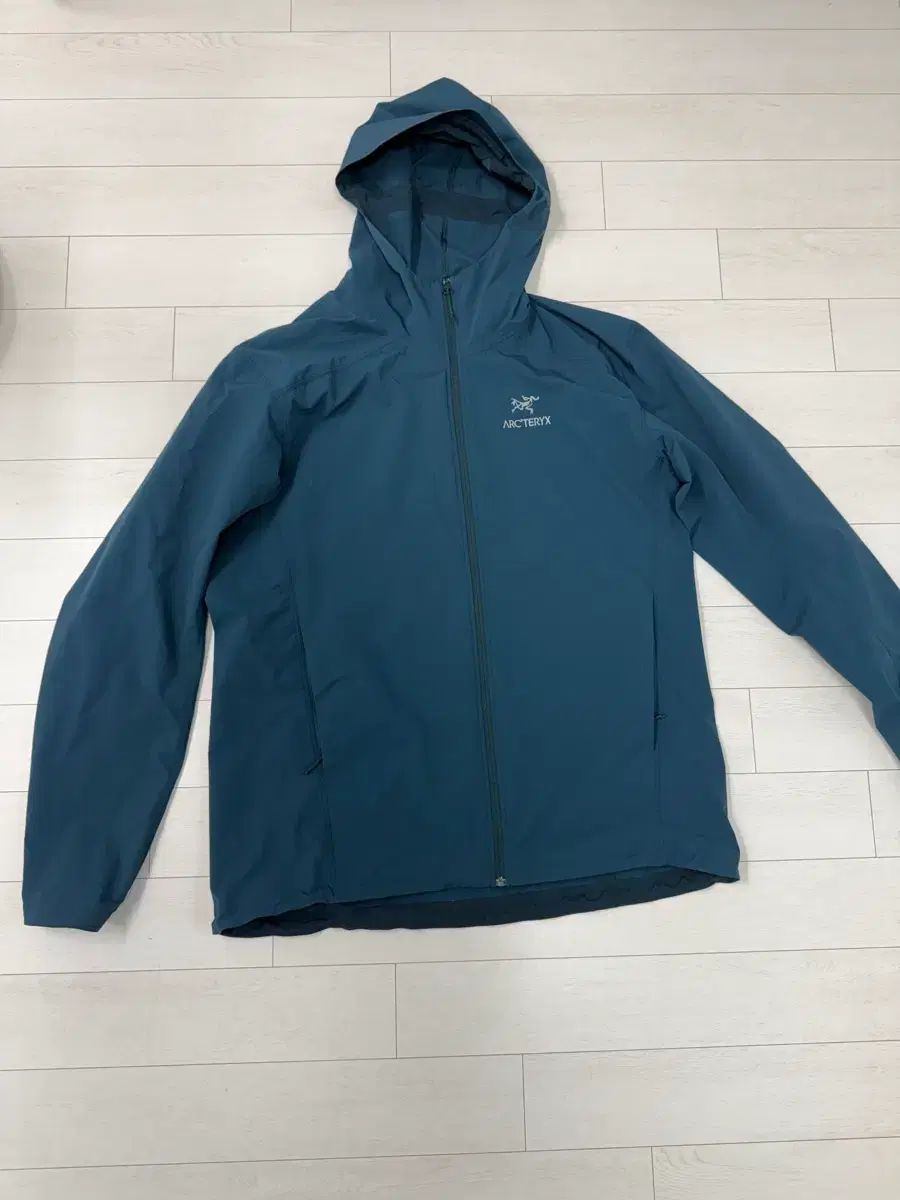 ARC TERYX アークテリクス GAMMA ガンマ sl L サイズ