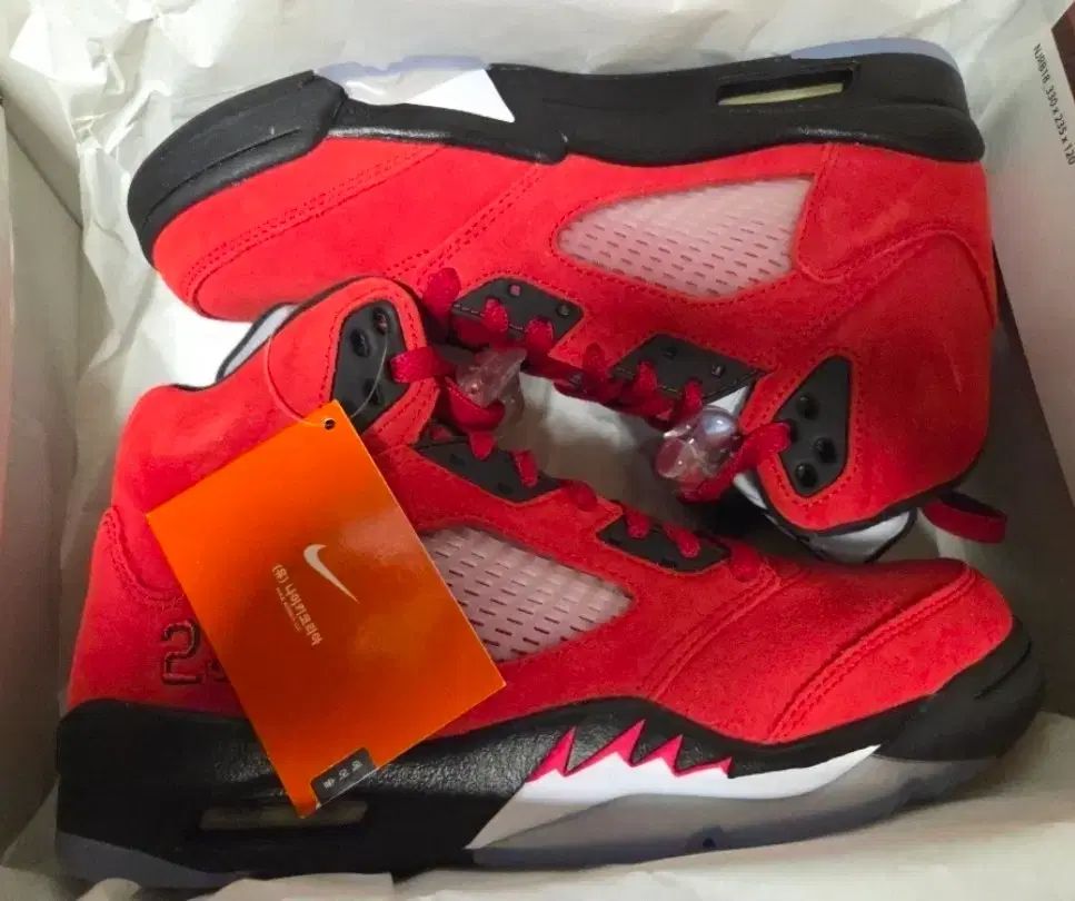 ナイキ ジョーダン5 トロ スポーツブラ ブラボー レイジングブル