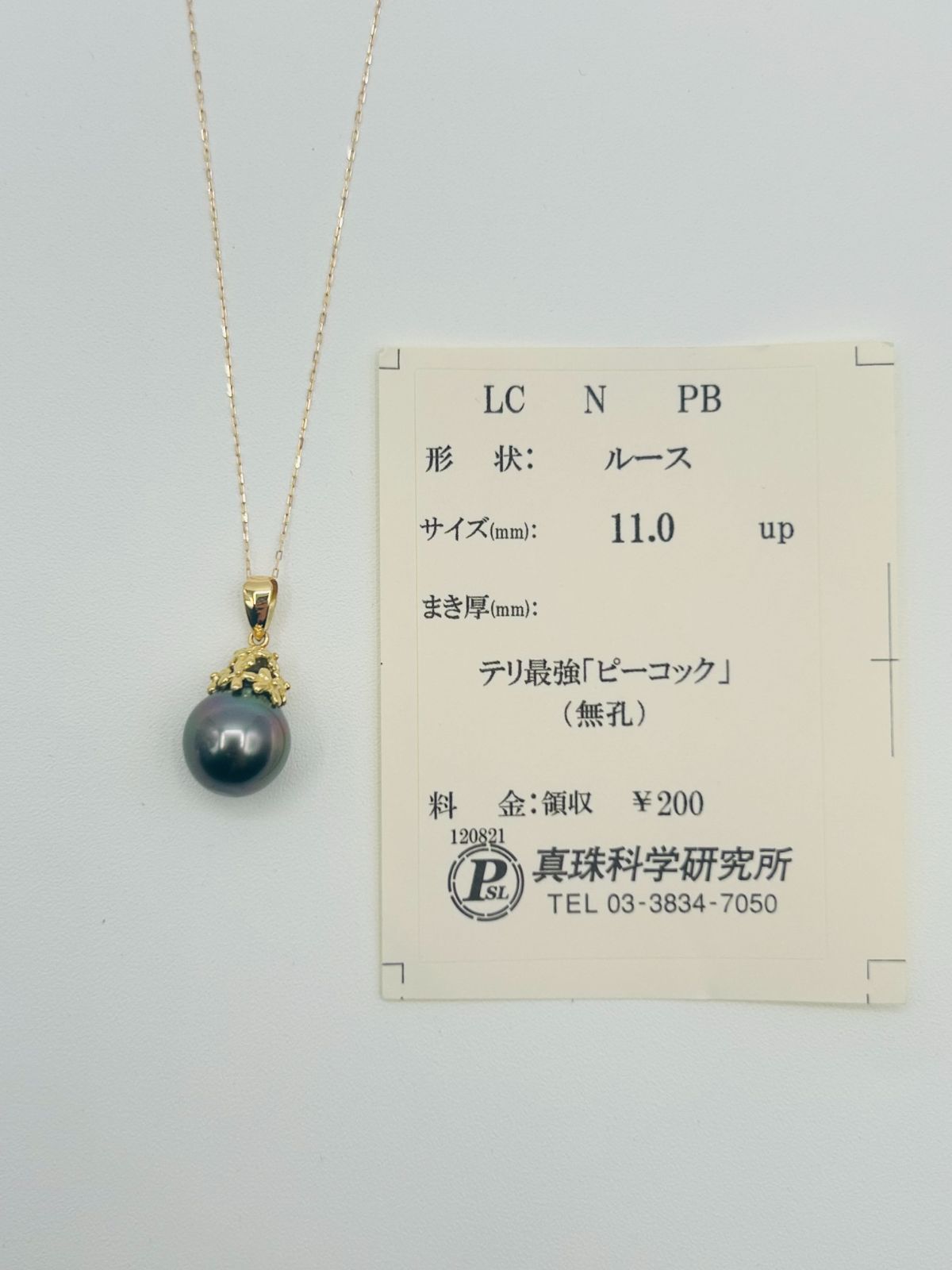 真珠 タヒチ 黒蝶 パール ピーコック ペンダント ネックレス 11 0 mmUP K 18 BLACKPEARL 大渓地 孔雀緑