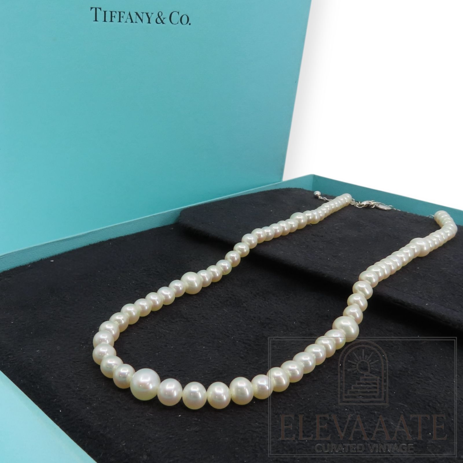 希少 美品 Tiffany&Co. ティファニー ミックス サイズ パール 