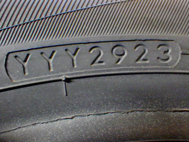 イボ付き BluEarth