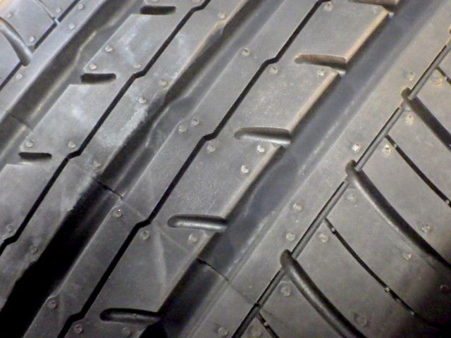 イボ付き BluEarth