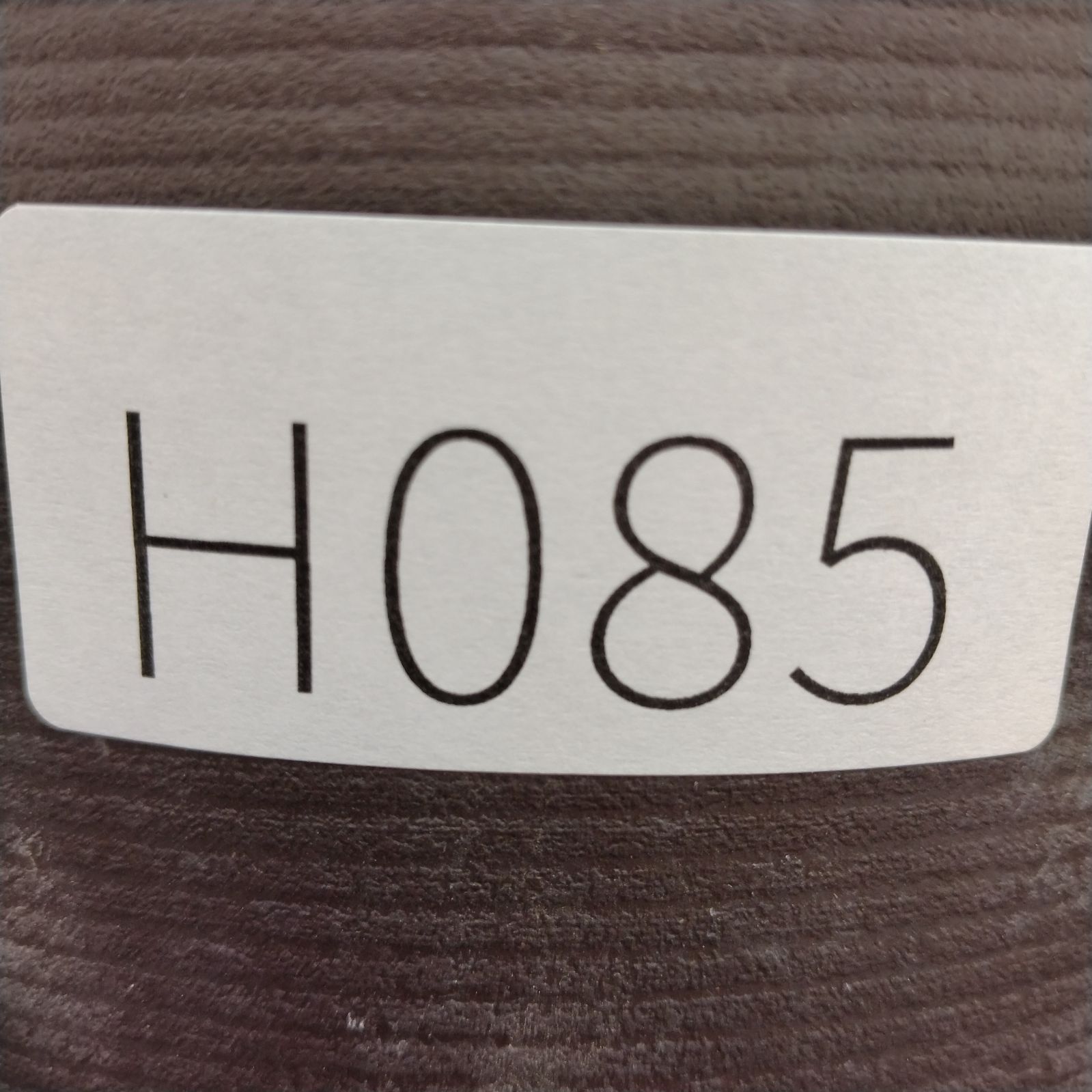 H085【自社養生株】フォークイエリア プルプシー（L）（実生・発根株