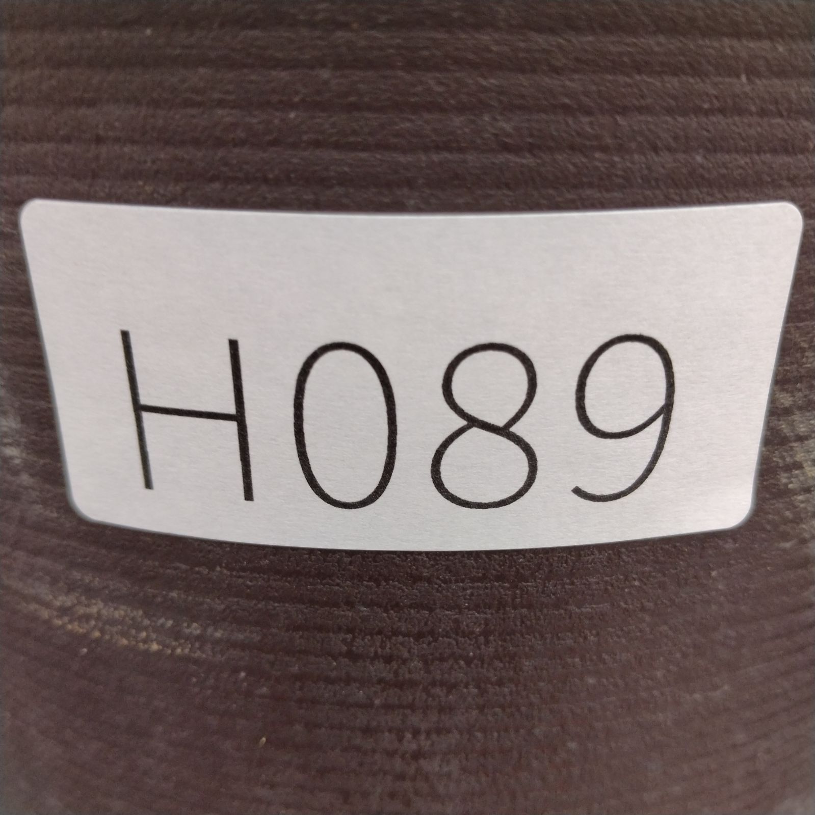 H089【自社養生株】フォークイエリア プルプシー（L）（実生・発根株