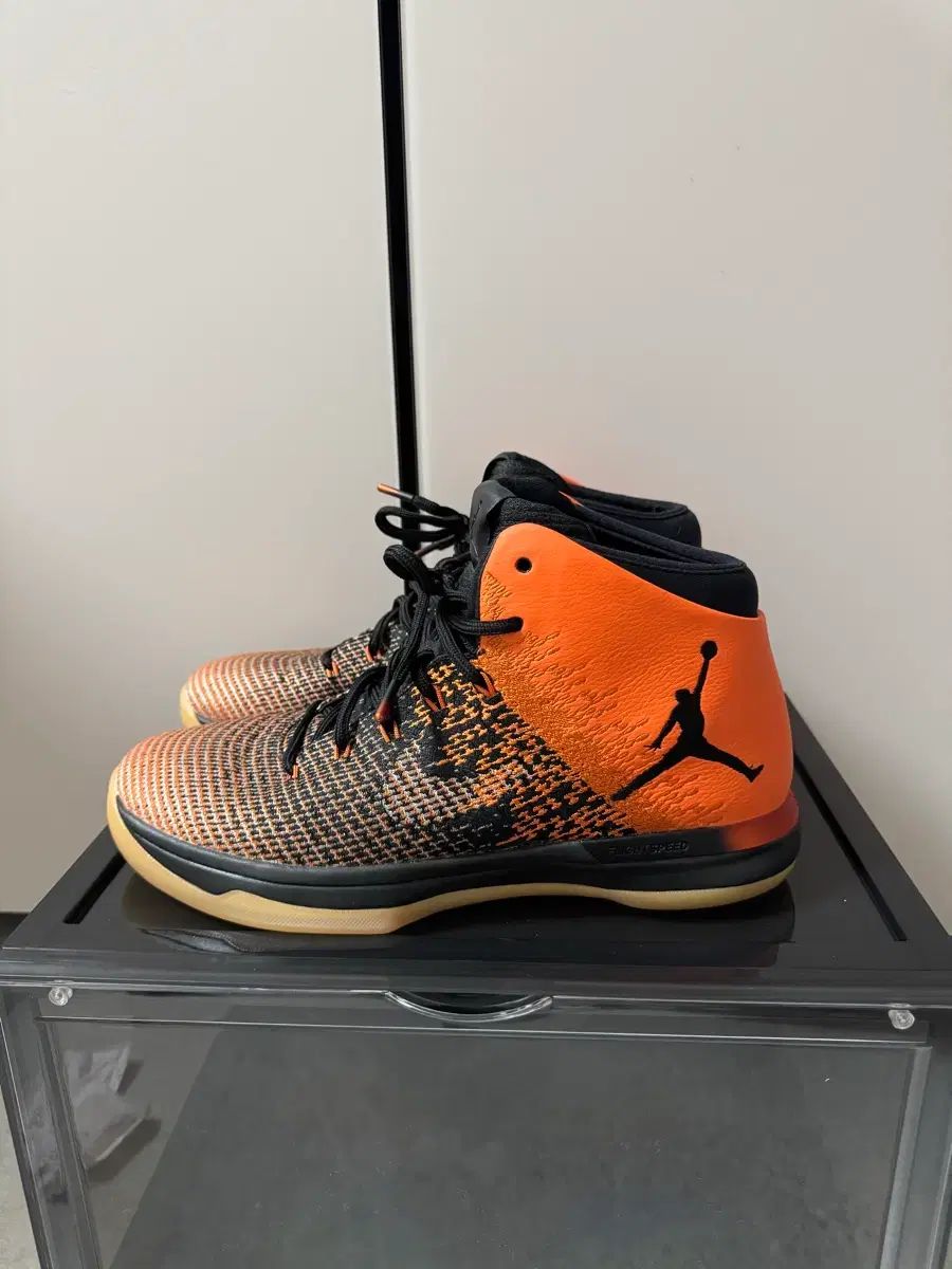 ジョーダン31 シャッタード バックボード サイズ 285