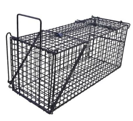 ｼﾝｾｲ ｱﾆﾏﾙｷｬｯﾁｬｰ LL N