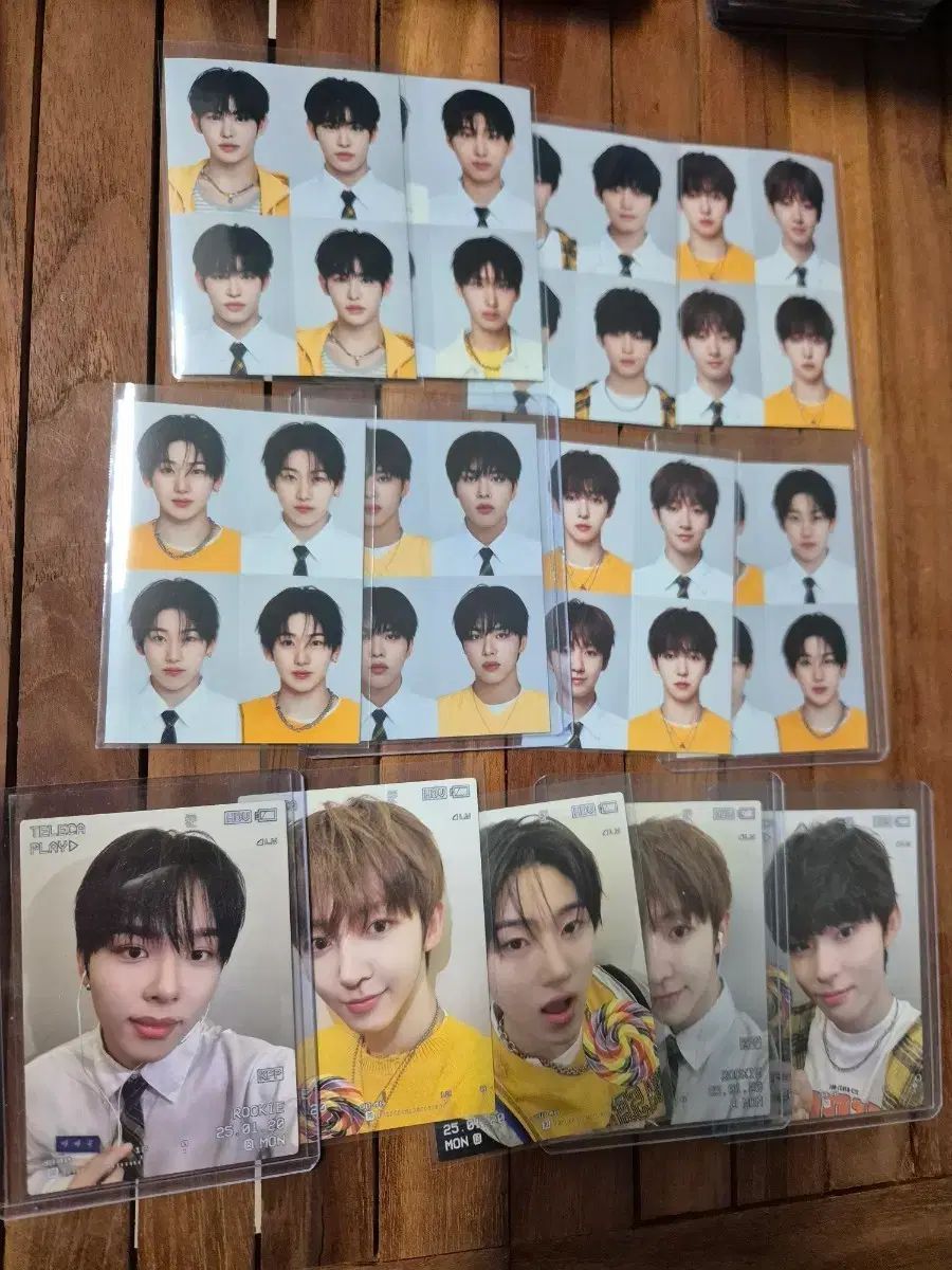 未開封 ワイン 赤ワイン SCHUBERT 2018 注文 CON BRIO NZ