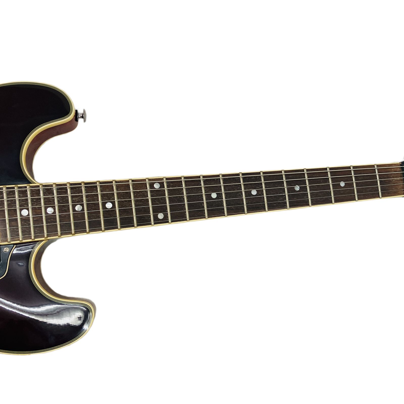 Aria Pro II TA-01 セミアコースティックギター ソフトケース付 中古